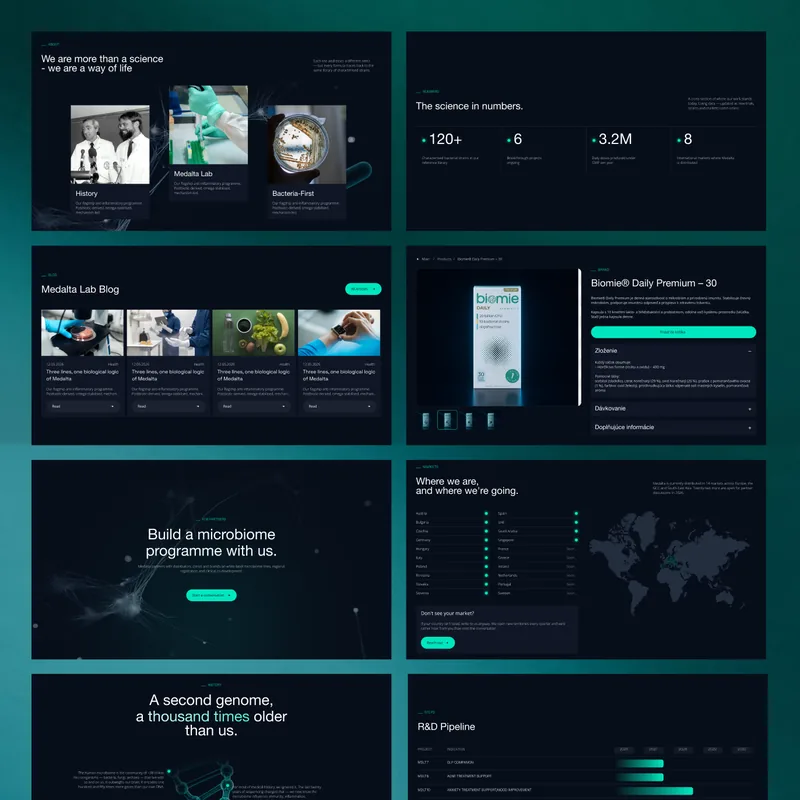 Medalta site overview: about, numbers, blog, product detail, partner and contact pages